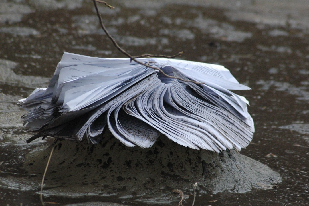 A waterlogged book on a muddy lump of land