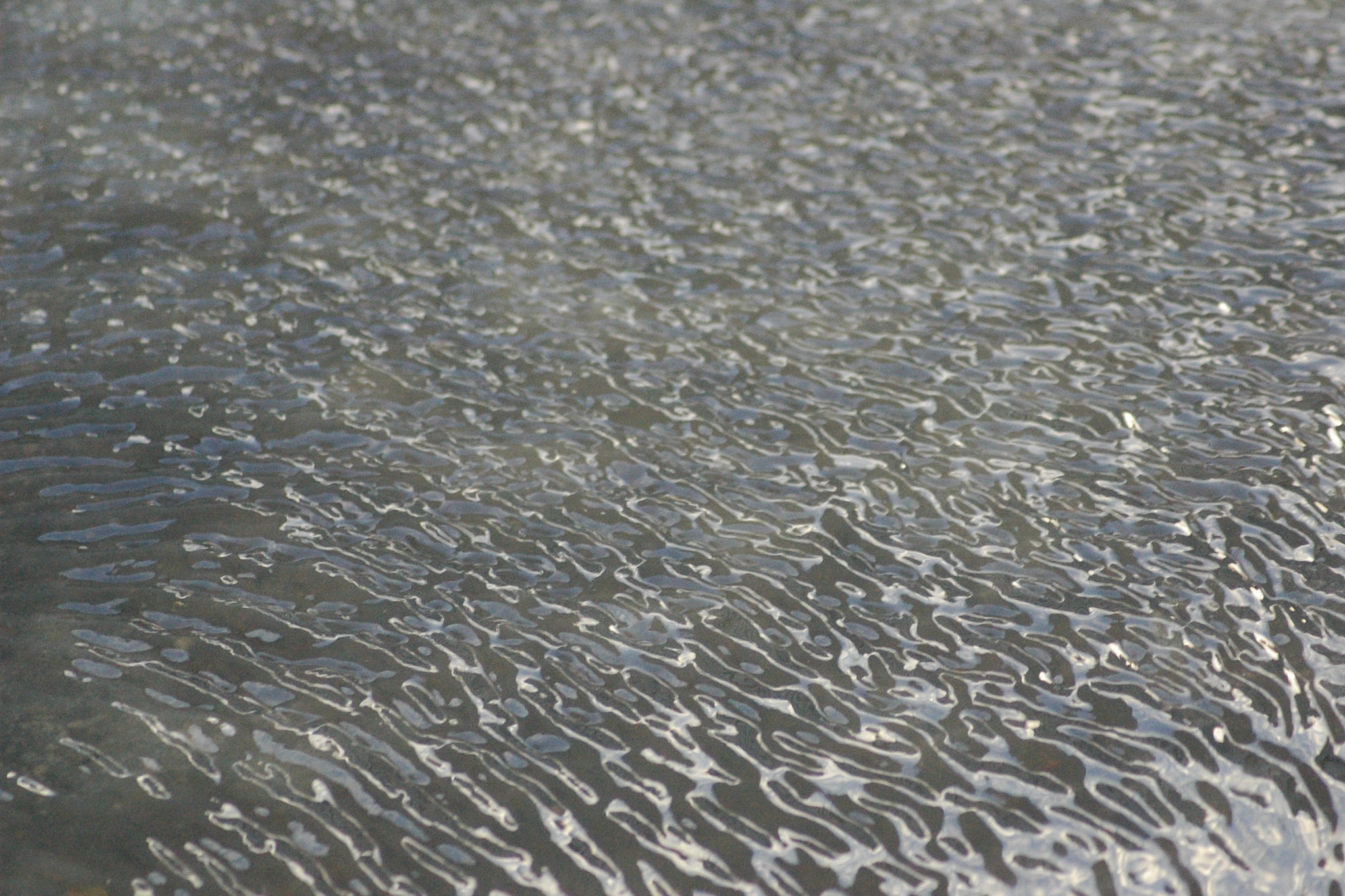 Ripples in muddy water