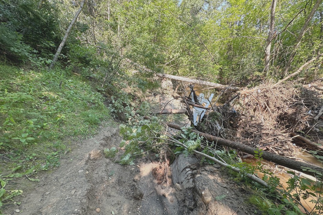 A trail is blocked with trees and deadfall.