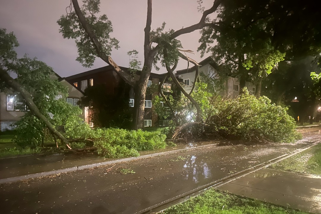 A tree blocks 83 Avenue during the evening of July 25