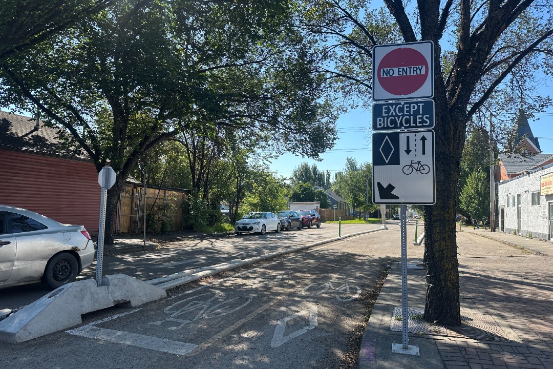 A protected bike lane on a tree-lined street