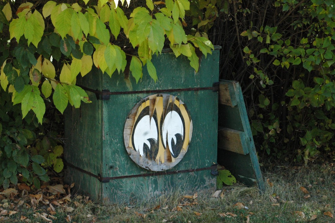A green box with eyes painted on it under a tree