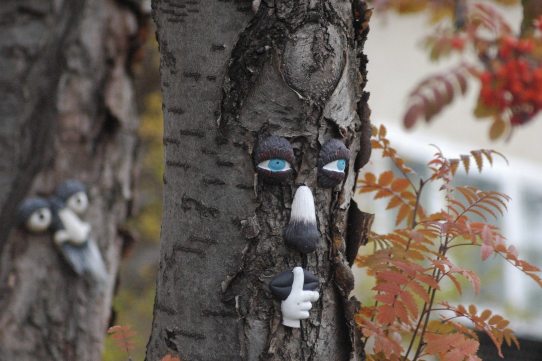 Two trees with facial features stuck to their bark