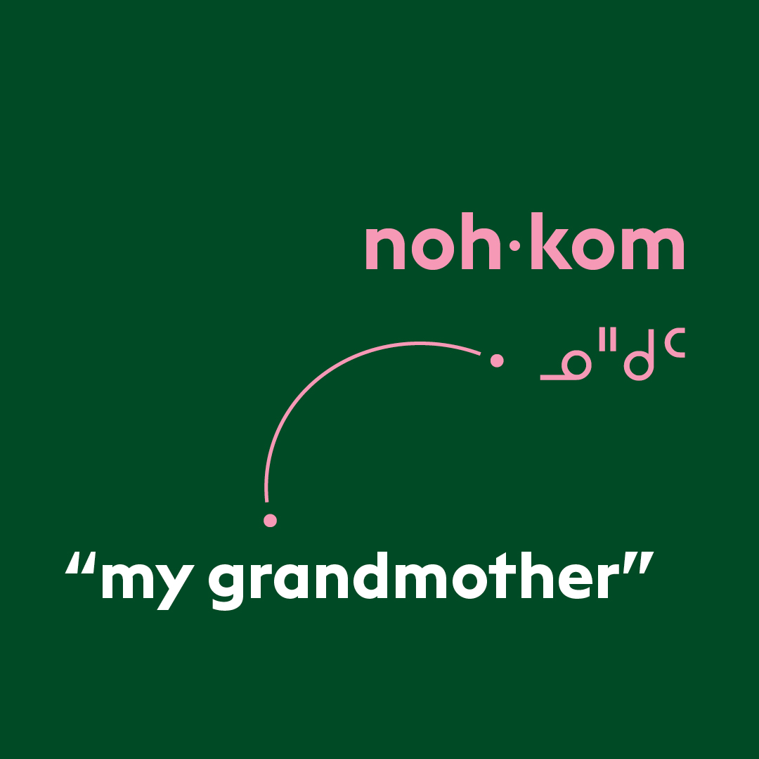 Cree word of the week: nohkom