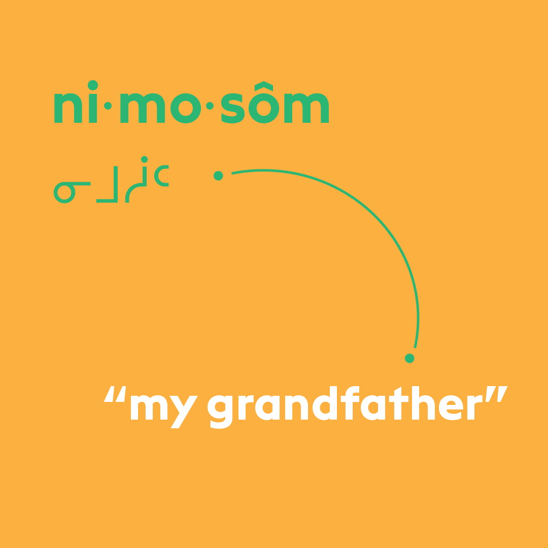 Cree word of the week: nimosôm