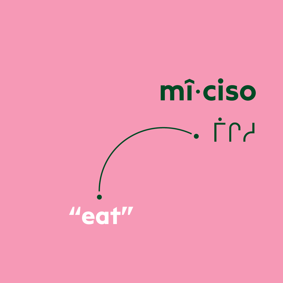 Cree word of the week: mîciso