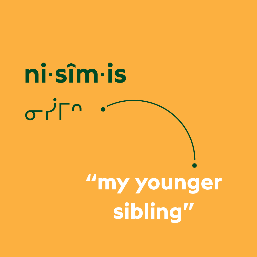 Cree word of the week: nisîmis