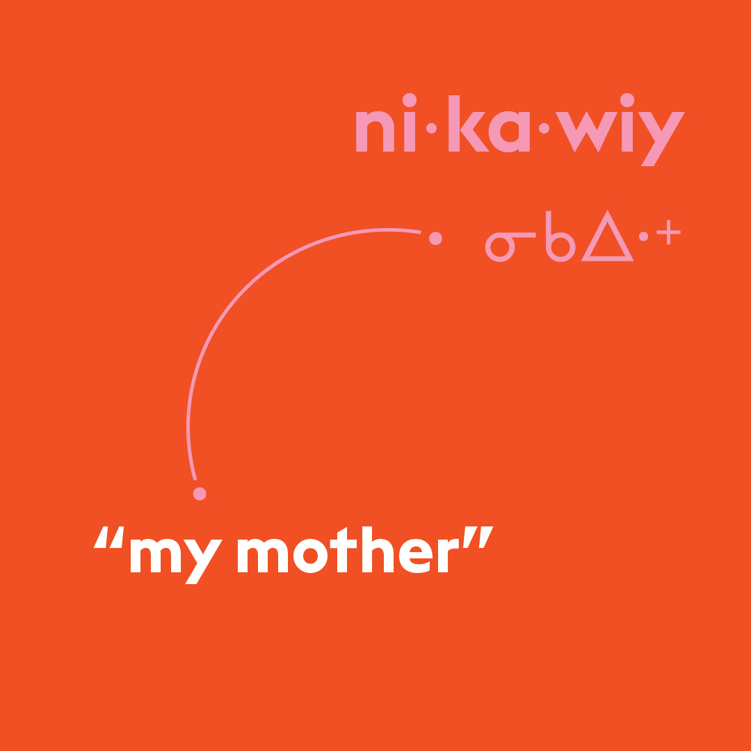 Cree word of the week: nikawiy