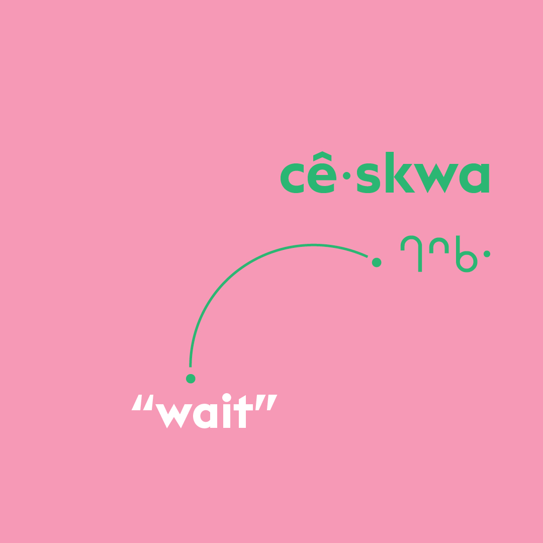 Cree word of the week: cêskwa
