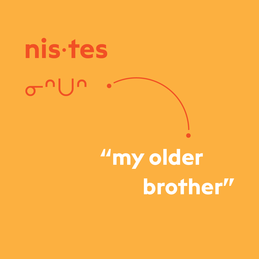 Cree word of the week: nistes
